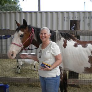 Meet your Posher, Carolyn